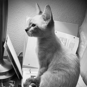 Meet your Posher, Caroline